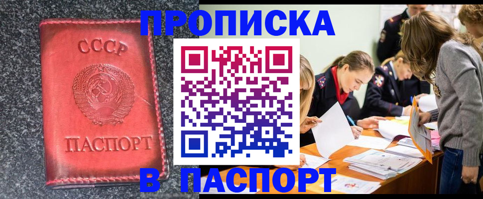 прописка для школы в Мирном